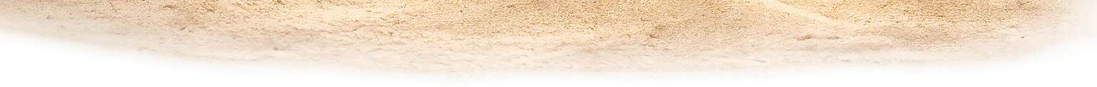 Detalle Arena
