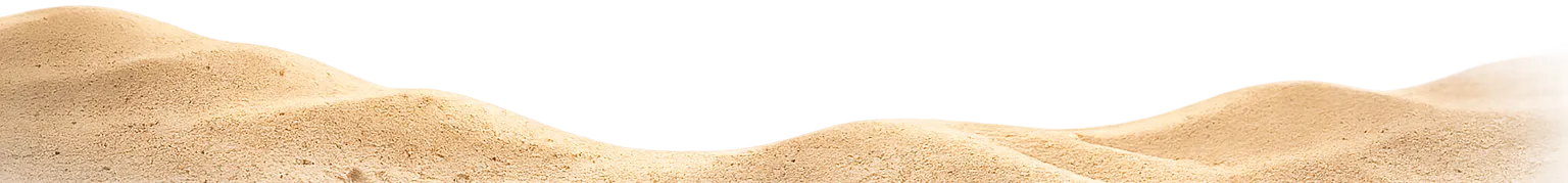 Detalle Arena